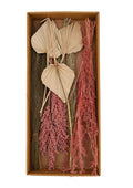 Naturel collections exotic mix dried flowers in box