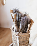 Dried Lavender