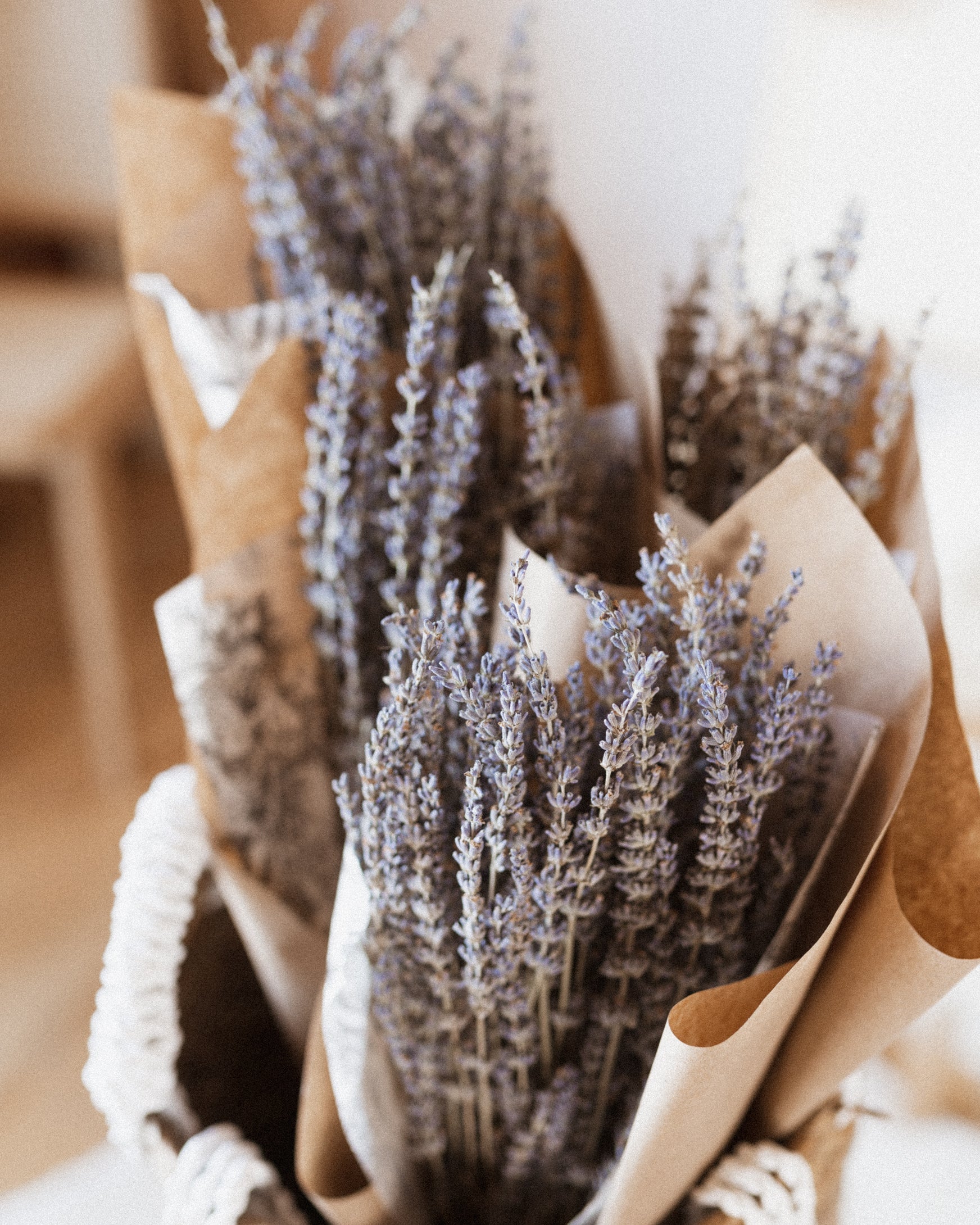 Dried Lavender